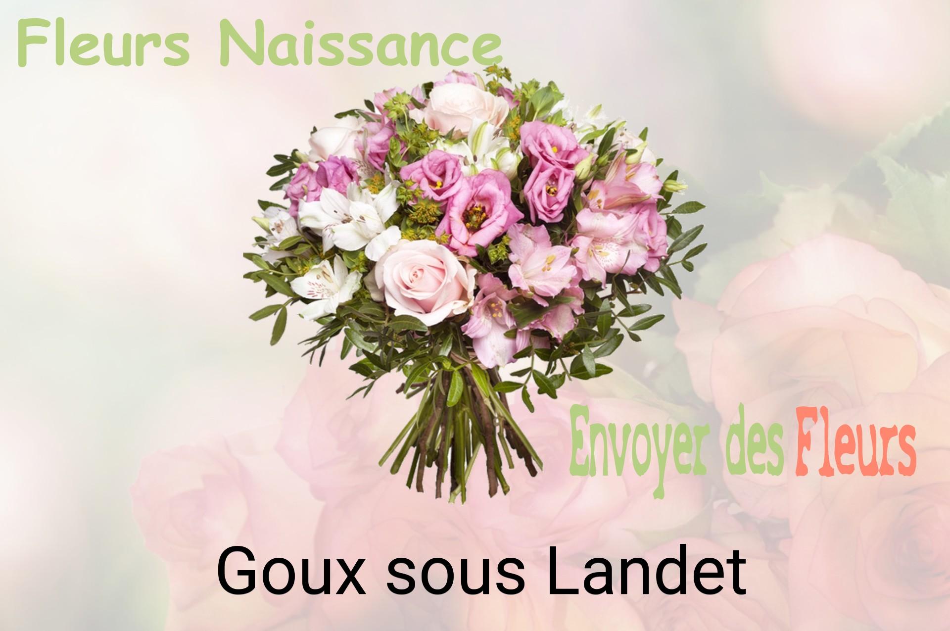 Bouquet de fleurs de naissance livré à Goux-sous-Landet